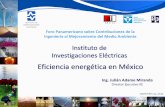 Eficiencia energética energética México en México · energía eléctrica proviene de la iluminación y el uso de refrigeradores. 3. Iluminación. 40%. Lavadora. 5%. Plancha. 6%.
