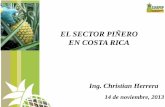 EL SECTOR PIÑERO EN COSTA RICA · CANAPEP: 87% del área productiva de Costa Rica SECTOR PIÑA EN COSTA RICA 1.200 productores 25.200* empleos directos 100.000 empleos indirectos