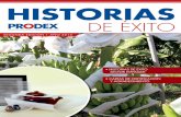 DE ÉXITO - Prodex · Mejora en la productividad por mejor calidad del banano de alrededor del 15%, por la reducción y casi eliminación de los defectos de Cicatriz, de Crecimiento