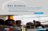 Río Ibáñeztransparencia.rioibanez.cl/docs/Participacion Ciudadana... · 2014-09-29 · localidades y el escaso transporte público que existen entre estas últimas; fueron algunas