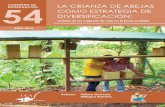 Análisis de las cadenas de miel en El Tuma-La Daliarepositorio.uca.edu.ni/3336/1/Cuaderno 54 Nitlapan_Final.pdf · 2016-12-01 · y la importancia de la crianza de abejas como estrategia