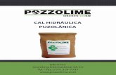 FGR-32 - Pozzolime · contiene sales solubles, cemento pórtland y cal libre. Áreas de Aplicación Pozzolime®-Restaura es utilizada en la elaboración de argamasas de reparación,