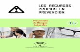 Prevención de Riesgos 16 Laborales propios-1.pdf · La prevención de riesgos laborales, como actuación a desarrollar en el seno de toda empresa, ... podrán constituirlo empresas