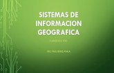 SISTEMAS DE INFORMACION GEOGRAFICAprepa.chapingo.mx/wp-content/uploads/2019/01/21-SISTEMAS... · 2019-01-22 · SISTEMAS DE INFORMACION GEOGRAFICA ELABORADO POR: ING. PAUL REYES AYALA