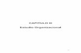 CAPITULO III Estudio Organizacional · 2011-01-17 · Los mecanismos de control funcionan como un detector de desviaciones o variaciones que permitan credibilidad cuando algo no marcha