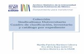 Colección Sindicalismo UniversitarioSindicato de Trabajadores y Empleados de la Universidad Nacional Autónoma de México (steunam), 1971- 1977; Sindicato del Personal Administrativo