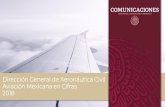 Dirección General de Aeronáutica Civil Aviación Mexicana ... · Mercancía doméstica transportada en servicio regular y de fletamento • Las tres empresas con mayor participación