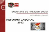 Secretaria de Previsión Social Laboral 2012.pdf · Certificación ISO 9001:2000 Secretaria de Previsión Social Comité Ejecutivo Nacional A) EXPOSICIÓN DE MOTIVOS •Modernizar