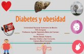 Diabetes y obesidad - WordPress.com · Definicion diabetes mellitus tipo 2 Diabetes mellitus tipo 2: La diabetes de tipo 2 (llamada anteriormente diabetes no insulinodependiente o