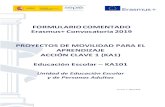 FORMULARIO COMENTADO Erasmus+ Convocatoria 2019 …sepie.es/doc/convocatoria/2019/EE/Formulario_comentado_KA101_2019.pdf · cuenta que para poder acceder al formulario, el receptor