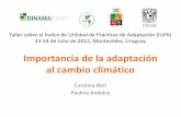 Importancia de la adaptación al cambio climático · Importancia de la adaptación al cambio climático Carolina Neri ... La manifestación de la vulnerabilidad Tabasco, Mex. 2007.