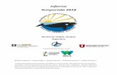 Informe Temporada 2018 - Instituto de Conservación de ... · Península Valdés es una de las más importantes áreas de cría y reproducción de la ballena franca austral en el