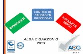 ALBA C GARZON G 2013 CONTROL DE... · ALBA C GARZON G 2013 • las prácticas tendrán que estar centrada en el paciente y la calidad impulsada por controlar las enfermedades crónicas,