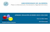 UNIVERSIDAD DE ALMERÍA€¦ · herramienta Cisco Packet Tracer empleada por Cisco para la realización de numerosos laboratorios en los cursos de preparación. En referencia a los