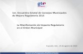 1er. Encuentro Estatal de Consejos Municipales de Mejora ...strc.guanajuato.gob.mx/wp-content/uploads/2016/08/MIR-Mpios-Final.pdf · Guanajuato, además de la propuesta normava de