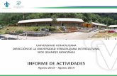 UNIVERSIDAD VERACRUZANA DIRECCIÓN DE LA UNIVERSIDAD ...colaboracion.uv.mx/rept/files/2015/01/031/10-UVI-Informe-2014.pdf · Como parte del trabajo realizado, se generaron distintos