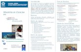 robótica visión por computadora manufactura moderna Maestría …cinvestav.edu.mx/saltillo/robotica/abriltorres/tripticoMaestria2015.pdf · Sistemas Dinámicos 7. Manufactura I