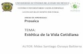 TEMA: Estética de la Vida Cotidiana · sobre la aplicación del modelo de análisis semio-estético, en la cotidianidad de uso de los objetos de diseño industrial para la conceptuación