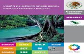 HaCIa uNa EStRatEgIa NaCIONal · 6 La visión de México sobre rEDD+ contamos con el apoyo técnico y financiero de la comu-nidad internacional, particularmente de Noruega, Francia,