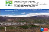 Instituto de Investigaciones Agropecuarias INIA INITERIO E ...biblioteca.inia.cl/medios/biblioteca/boletines/NR41514.pdf · Instituto de Investigaciones Agropecuarias (INIA) / MINISTERIO