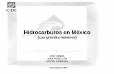 Hidrocarburos en Méxicoservicios.iesa.edu.ve/Portal/CIEA/MEXICO_Presentation_KickoffSeminar.pdf · regulaciones que obstaculizan energías alternas y renovables. • Trabajo con