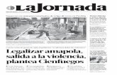 La Jornada de Morelos - plantea Cienfuegos · ¿Por qué rechazan el nuevo aeropuerto? No sólo por el daño ambiental que ocasionará en toda la zona alre-dedor del lago de Texcoco,