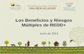 Los Beneficios y Riesgos Múltiples de REDD+aquellos que son los más valorados por las comunidades locales. Además, los riesgos para el bosque y en áreas fuera del bosque pueden