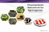 Financiamiento Bancario en los Agronegocios.ceach.org.mx/ponencias/09_Platica_Credito_Chihuahua.pdf · 2017-01-19 · Financiamiento al Sector Privado • Los productores y empresas