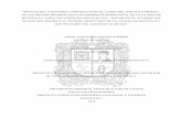 IMPACTO DE LA REFORMA TARIFARIA PARA EL COBRO DEL …repository.udistrital.edu.co/bitstream/11349/14707... · impacto de la reforma tarifaria para el cobro del impuesto predial de