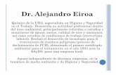 Dr. Alejandro Eiroabiolab-laboratorios.com.ar/adjuntos/Eiroa 18-11-09 v2.pdf · Dr. Alejandro Eiroa Químico de la UBA, especialista en Higiene y Seguridad en el Trabajo. Desarrolla