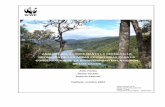 ANÁLISIS DEL AVANCE HASTA LA FECHA EN LA DEFINICIÓN DE …assets.panda.org/...conservacion_de_la_biodiversidad_region_los_lagos.pdf · clasificación de formaciones vegetacionales1