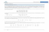 Matemáticas II SOLUCIONARIO UNIDAD 1: Matricesolmo.pntic.mec.es/~agog0016/pdf/2BT/EDITEX II/01 Matrices...Matemáticas II SOLUCIONARIO 1. Dadas las matrices 1 11 1 01 0 11 M = −