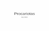 Procariotas...Procariotas: Dominios Archaea y Bacteria •Los procariotas no tienen núcleo definido y ni organelos rodeados por membrana. •El ADN usualmente está en molécula circular.