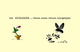 LA ECOLOGÍA tiene unas raíces complejas · 2019-06-24 · Los ecosistemas se mantienen en funcionamiento no sólo por el flujo de la energía sino también por la circulación de