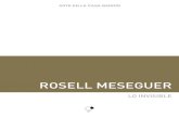 ROSELL MESEGUER - IAC Juan Gil-Albert · 8 9 Lo invisible: Rosell Meseguer Lo invisiblees un proyecto de Rosell Meseguer iniciado en 2010 que, fiela sus líneas de actuación, amplia
