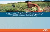 Agricultura “climáticamente inteligente” · Segunda parte – Opciones institucionales y de políticas ... 2.6 Instituciones para apoyar las necesidades de financiación y seguros