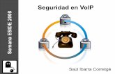 Seguridad en VoIP · VoIP en 2 palabras  ¿Qué es la VoIP? – Voz sobre el Protocolo de Internet – Reutilizar una red mundial gratuita para enviar voz. El ...