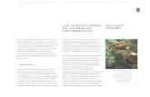 POBLACIONES DE ANIMALES Joseph Wright …bdigital.binal.ac.pa/bdp/descarga.php?f=la cuenca3.pdfm Pichón de águila Harpía en su nido, Parque Naciona l Chagres . alta del Parque Nacional
