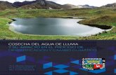 COSECHA DEL AGUA DE LLUVIA Y SU IMPACTO EN EL PROCESO …proyectoapoyocambioclimatico.pe/wp-content/uploads/... · la mayor parte del agua se pierde rápidamente por escurrimiento