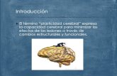 El término “plasticidad cerebral” expresa la …Neuroplasticidad reactiva: para resolver cambios ambientales de corta duración. ! Neuroplasticidad Adaptativa: modificación estable