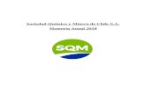 Sociedad Química y Minera de Chile S.A. Memoria …s1.q4cdn.com/793210788/files/doc_financials/annual...Sociedad Química y Minera de Chile S.A. (“SQM”, la “Compañía” o