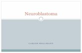 Neuroblastoma - AOCC · Neuroblastoma: Generalidades. Se origina de células derivadas de la cresta neural especialmente la medula espinal y la cadena ganglionar simpática. La principal