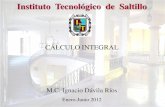 CÁLCULO INTEGRAL · 2012-01-31 · Unidad I. Teorema Fundamental del Cálculo (Diferenciales). 1.1 Definición de Integral 1.2 Definición e interpretación geométrica de incrementos