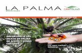 LA PALMA · LA PALMA / No. 807 Teniendo en cuenta que no existe la información necesaria del silicio en la palma de aceite, Ma y Takahashi, 2002, establecen unos criterios para identificar