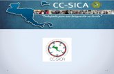 Qué es el CC-SICA...Qué es el CC-SICA El Comité Consultivo del Sistema de Integración Centroamericana (CC-SICA), es el órgano de representación de la sociedad civil, organizada