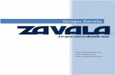 Grupo Zavalazavalagruas.com.gruas370.com/images/stories/organizacion... · 2019-01-11 · DIVISION GRUAS INDUSTRIALES • Grúa Titán Capacidad 8 tons. Grúas hidráulicas montadas