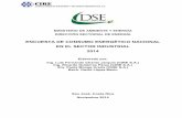 Encuesta Industrial SEPSE Industrial_SEPSE-1.pdf · Ficha catalográfica Dirección Sectorial de Energía (DSE) No. 184 La Dirección Sectorial de Energía, es el órgano responsable