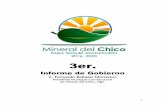 Informe de Gobierno · 2019-09-24 · Rehabilitación Integral de Hidalgo (CRIH), se gestiono proyecto productivo de borregos para personas con capacidades diferentes impulsando con