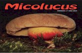 Micolucus portada FINAL - smlucus.org · Biosfera dos Ancares ou a de Terras do Miño, corazón verde do noso territorio, entre outros, pero sen esquecer o seu espírito aberto a
