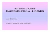 INTERACCIONES MACROMOLECULA - LIGANDOfqb.fcien.edu.uy/docs/Clase Union ligando a proteinas.pdf · 2013-01-28 · P + A PA De esta interacción nos interesa estudiar:-estequiometría,